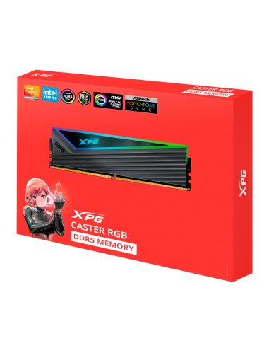 16G DDR5 6000 XPG CASTER RGB